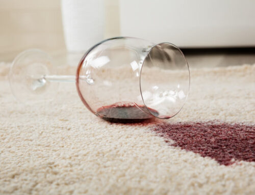 Plama z wina na dywanie – jak usunąć?
